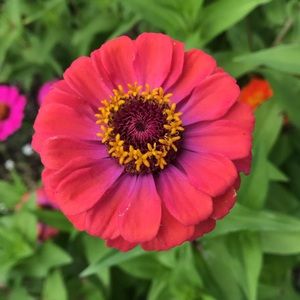 Meet your Posher, Corey